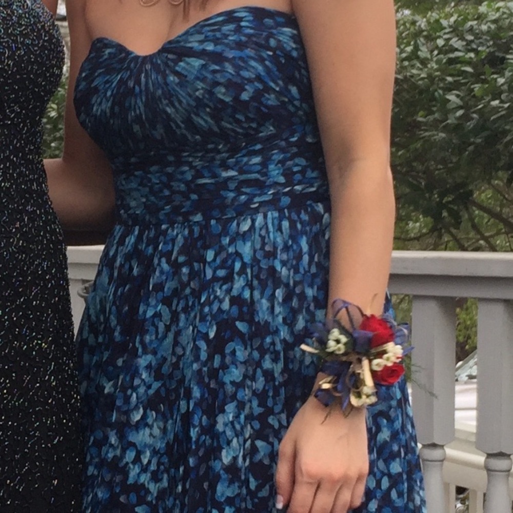 Silk chiffon J crew dress